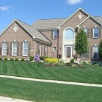 springboro2